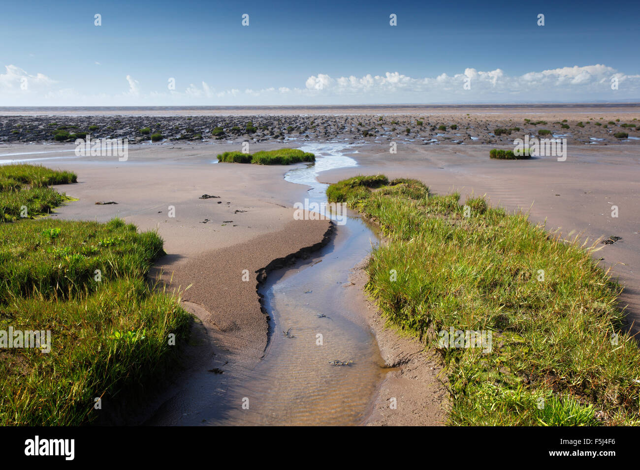 Salt marsh and Mudflats. Steart Flats. Somerset. UK. Stock Photo