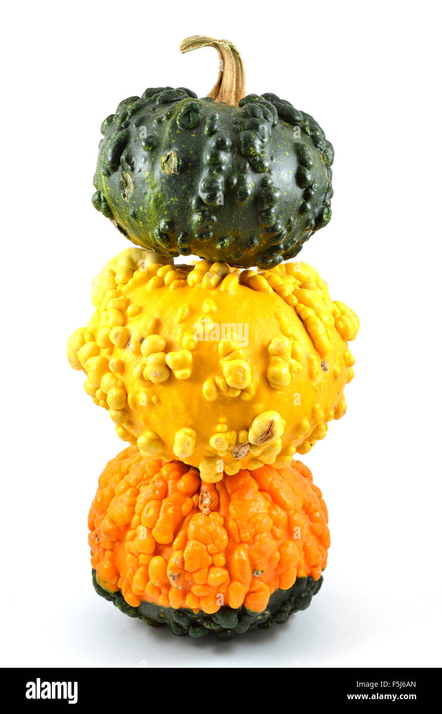 three pumpkins on each other on a white background Stock Photo - Alamy