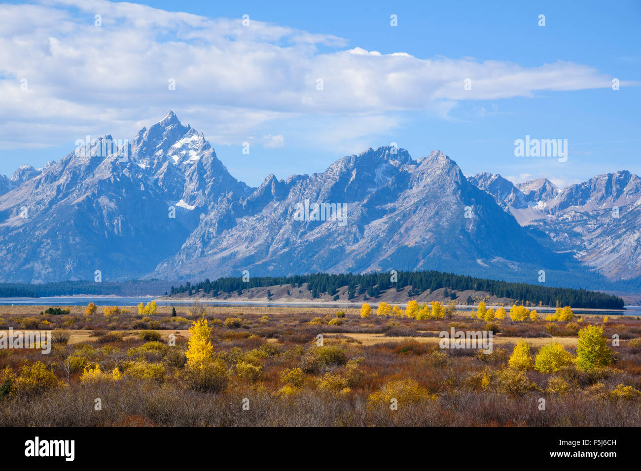 Willow Flats looking towards the Teton Range, Grand Tetons National Park, Wyoming, USA Stock Photo