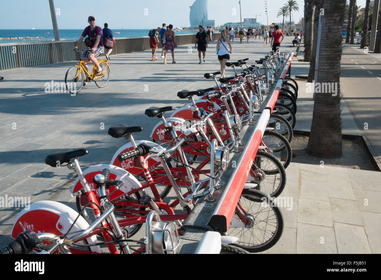 Self Service Rent A Bikebicycle Stationbarcelonacatalonia