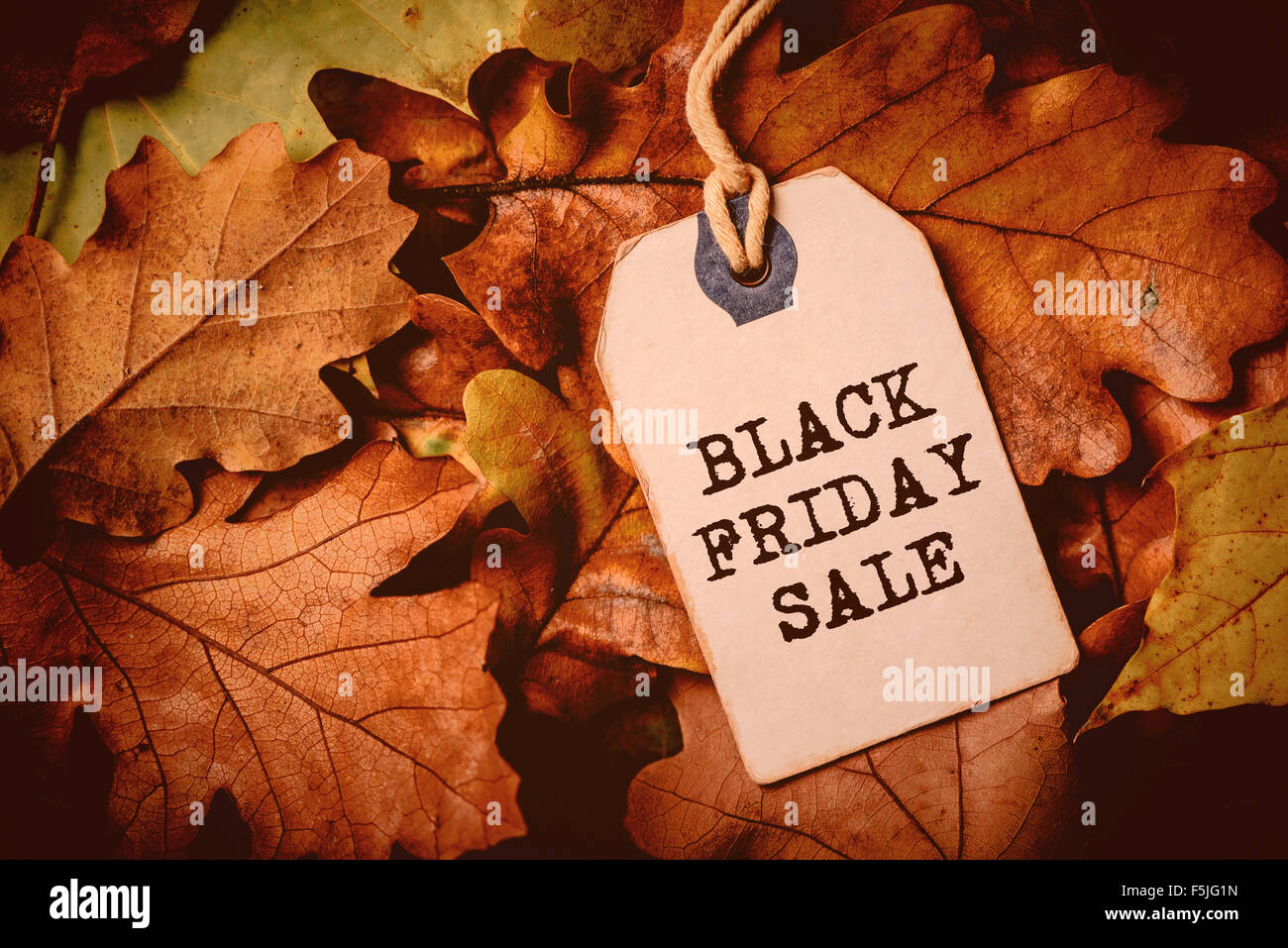 Price tag from with twine on dry autumn leaves background, autumn season sale event, Black Friday concept. Stock Photo