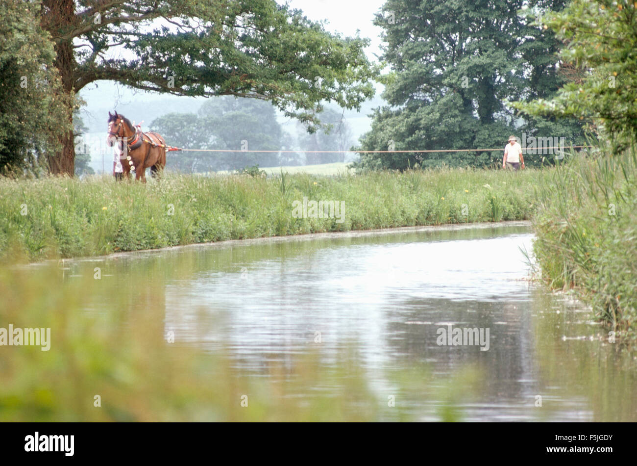 Horses pulling narrow boat hires stock photography and images Alamy