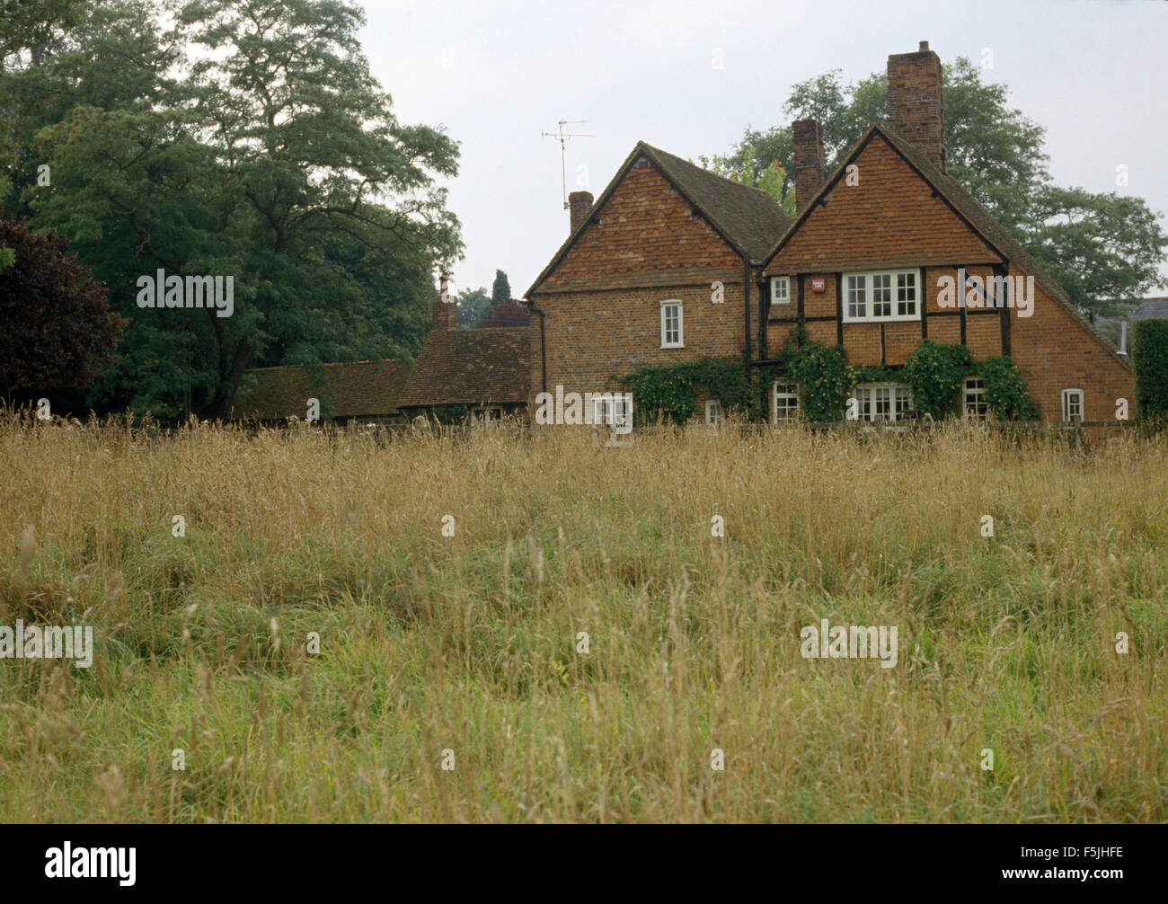 Meadow with long grass in front of a traditional country house Stock Photo