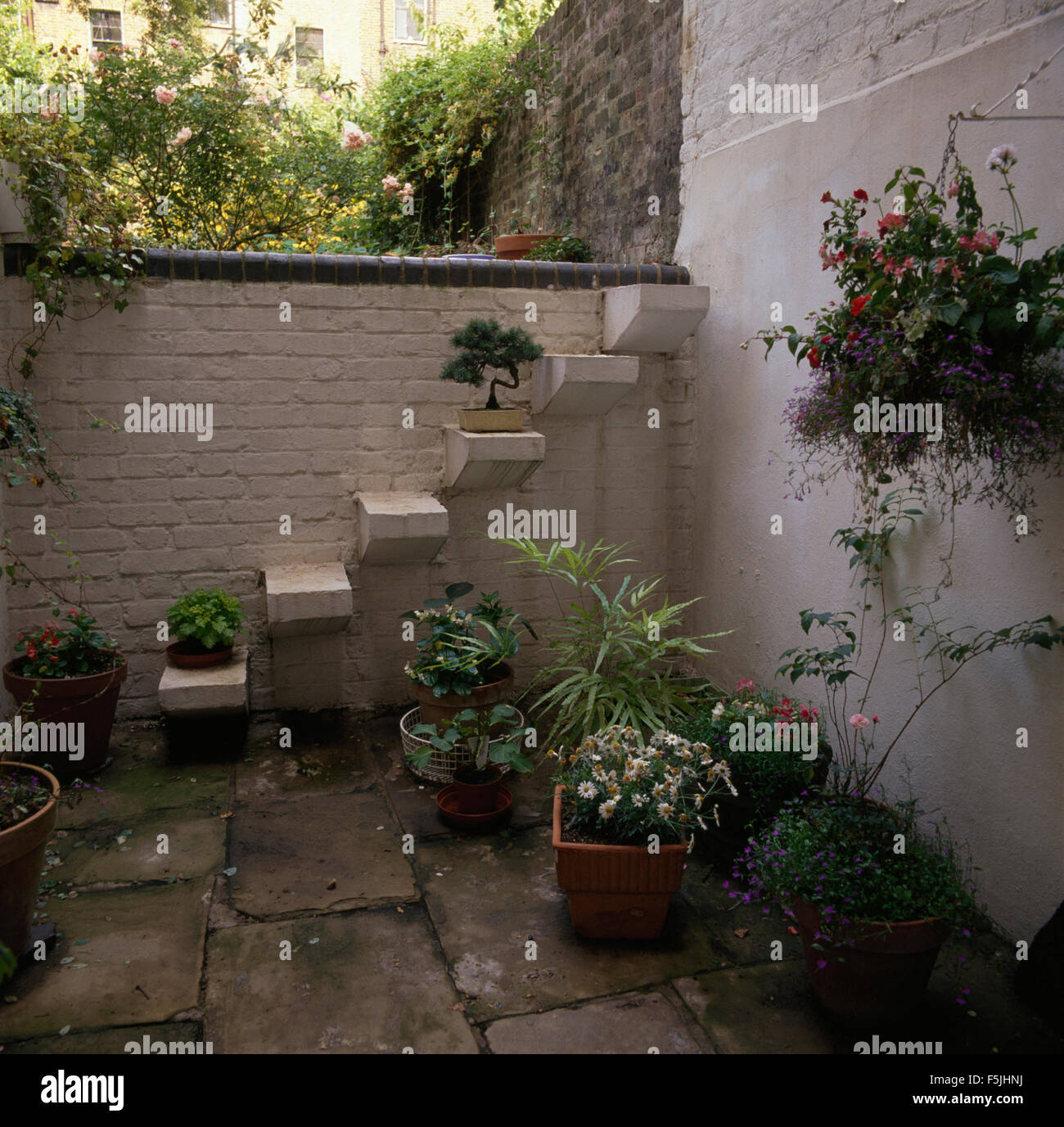 Hanging basket and pots on paved basement area with steps up to the