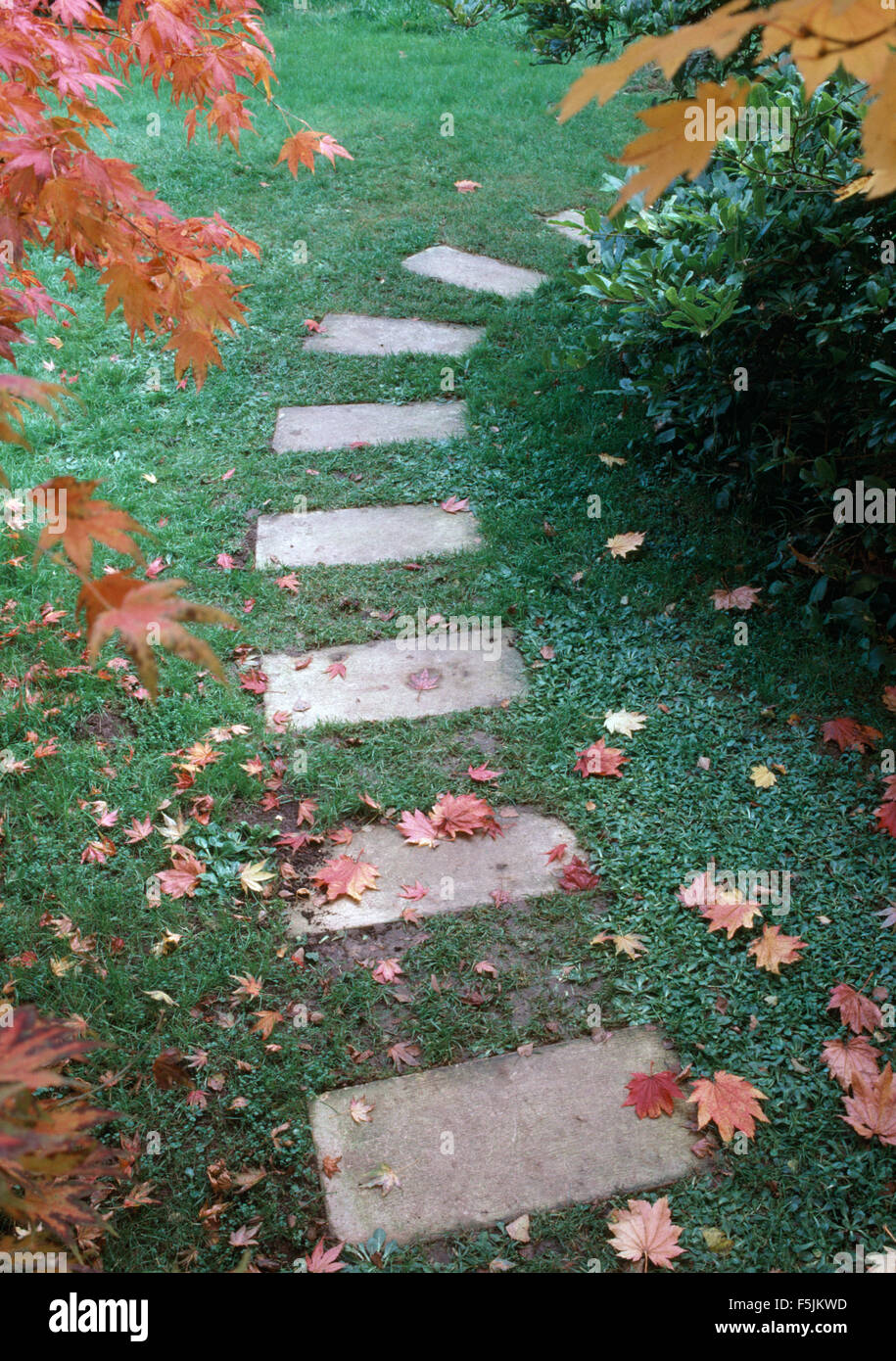 Close-up of stone paving slabs across a lawn in an Autumn garden Stock Photo