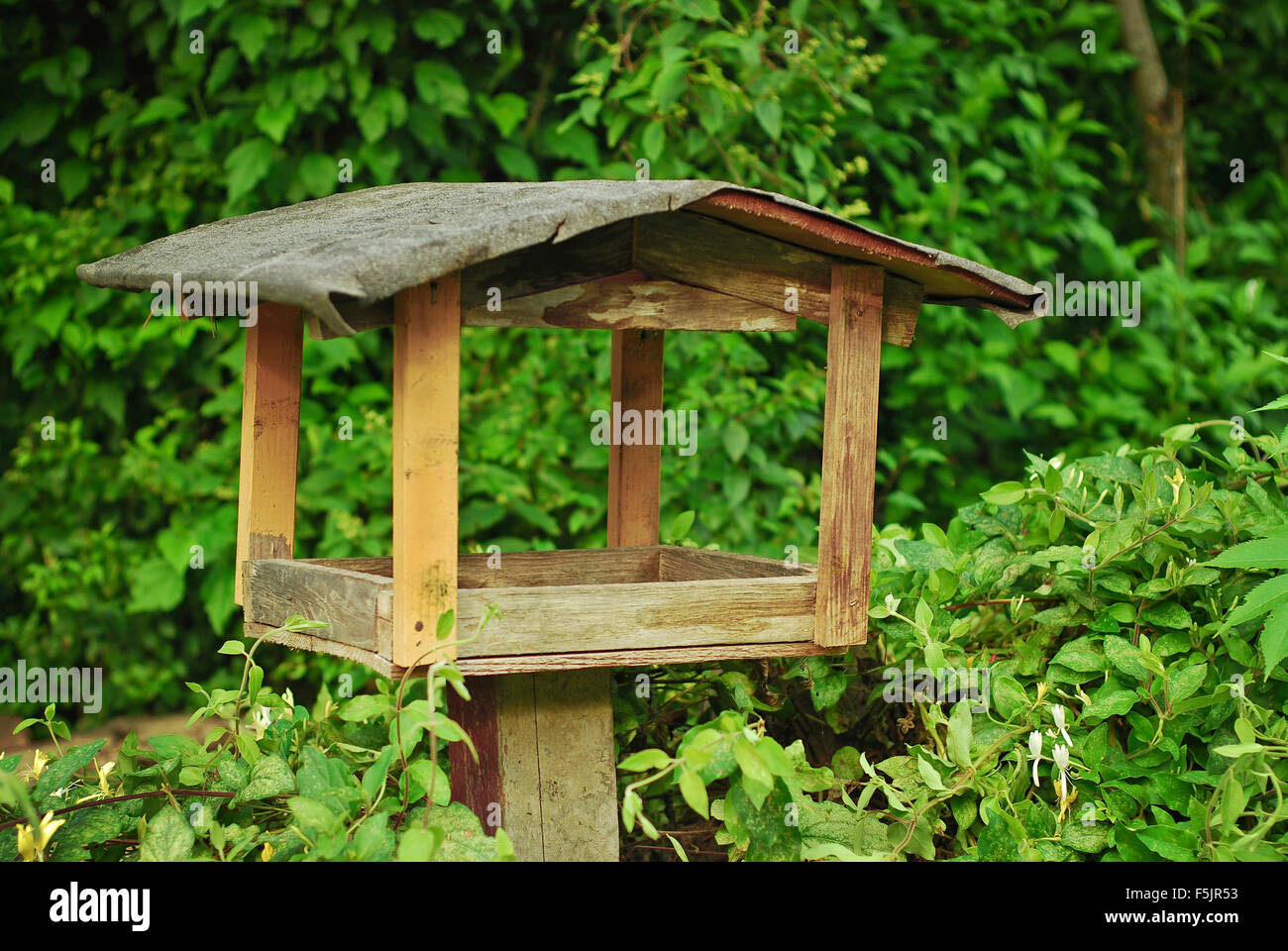 wooden birdhouse Stock Photo