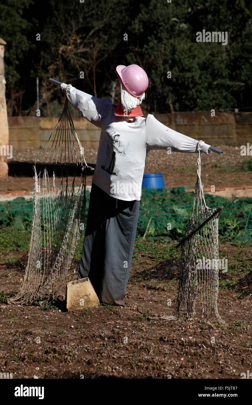 Scarecrow, bird scarer Stock Photo Alamy