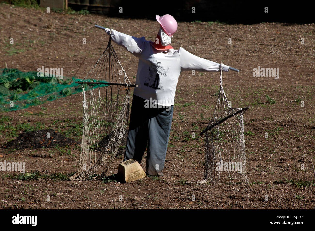 Scarecrow, bird scarer Stock Photo Alamy