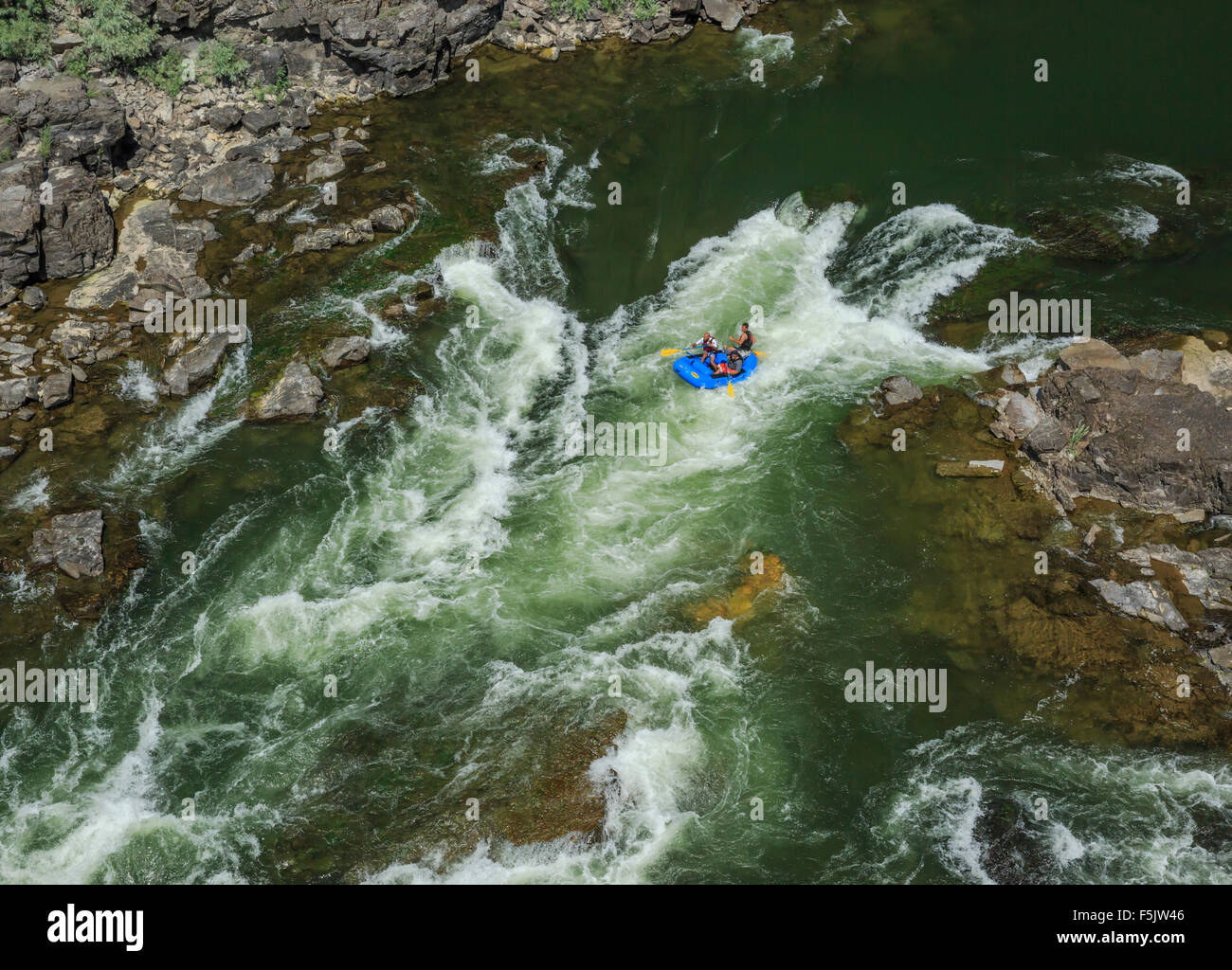 rafters shooting fang rapids in alberton on the clark fork river