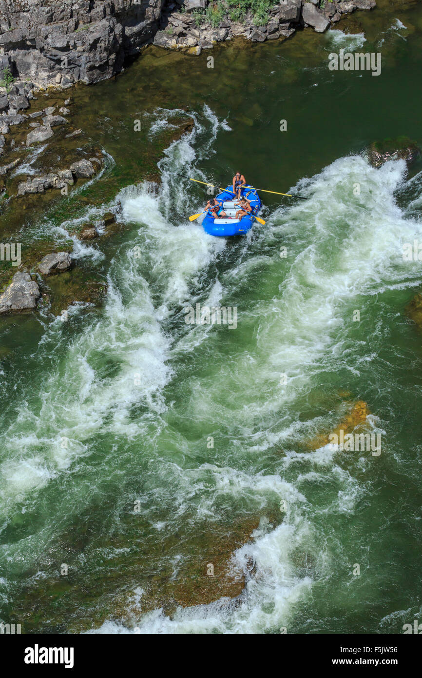 rafters shooting fang rapids in alberton on the clark fork river