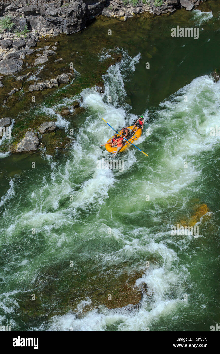 rafters shooting fang rapids in alberton on the clark fork river