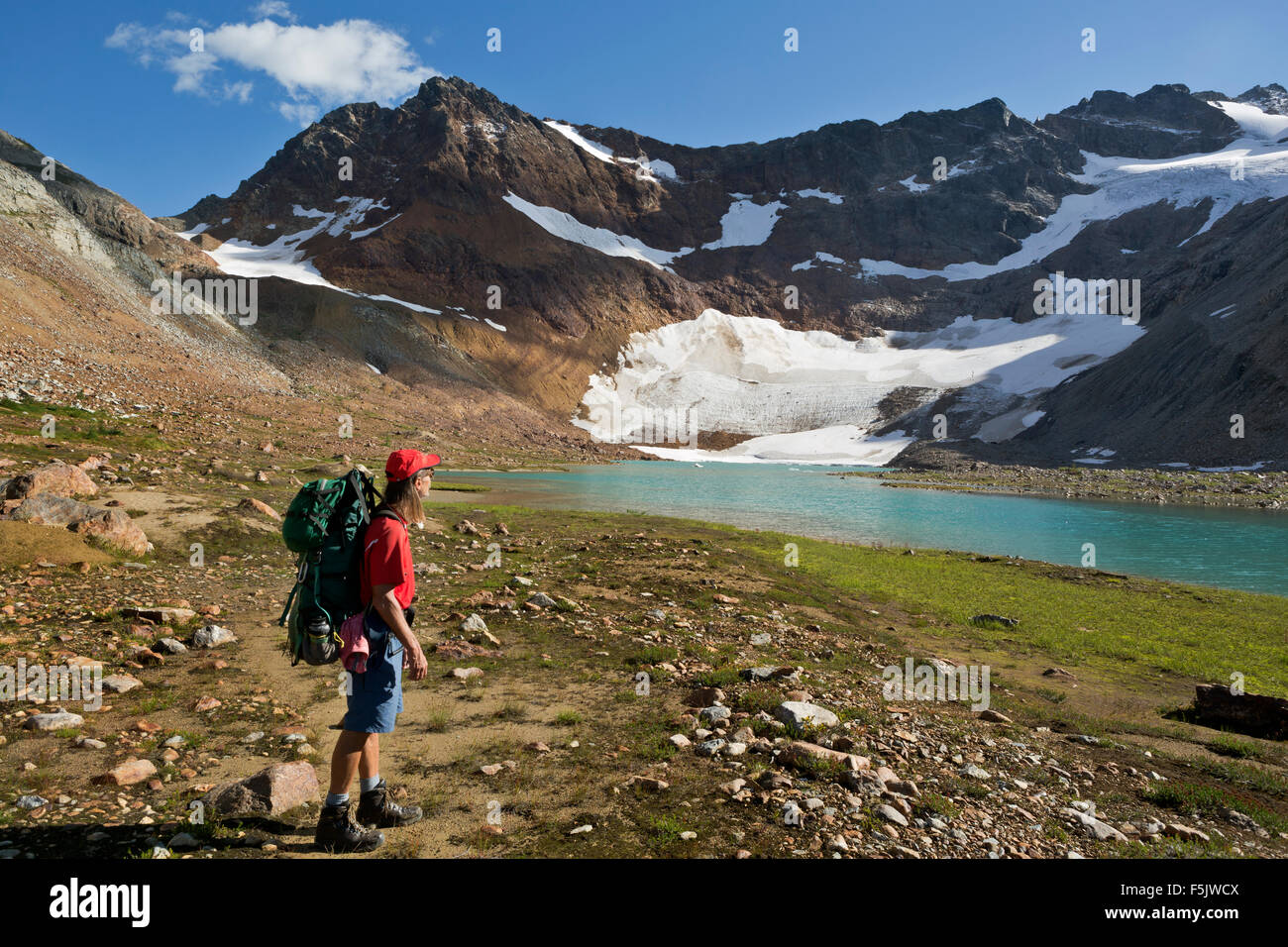 WASHINGTON Backpacker viewing the receding Lyman Glacier from Upper