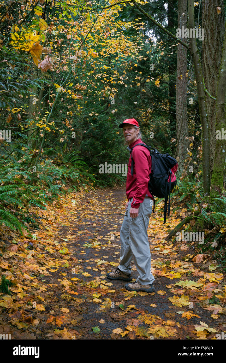 WA10844-05...WASHINGTON - Hiker following trail through the thick forest of Bridal Trails State Park near Kirkland. Stock Photo