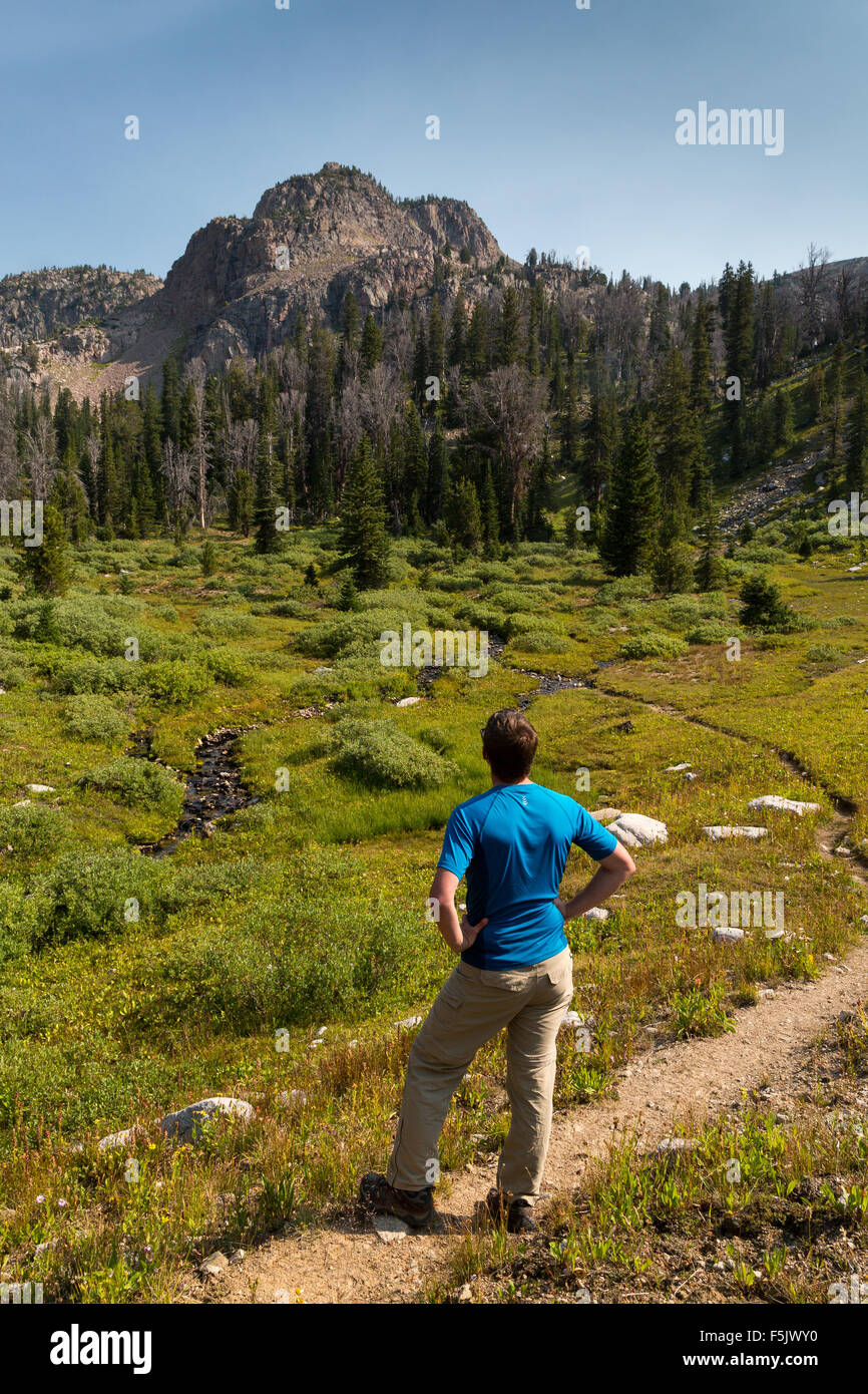 A hiker looks up toward a peak in the Gros Ventre Wilderness, Wyoming Stock Photo