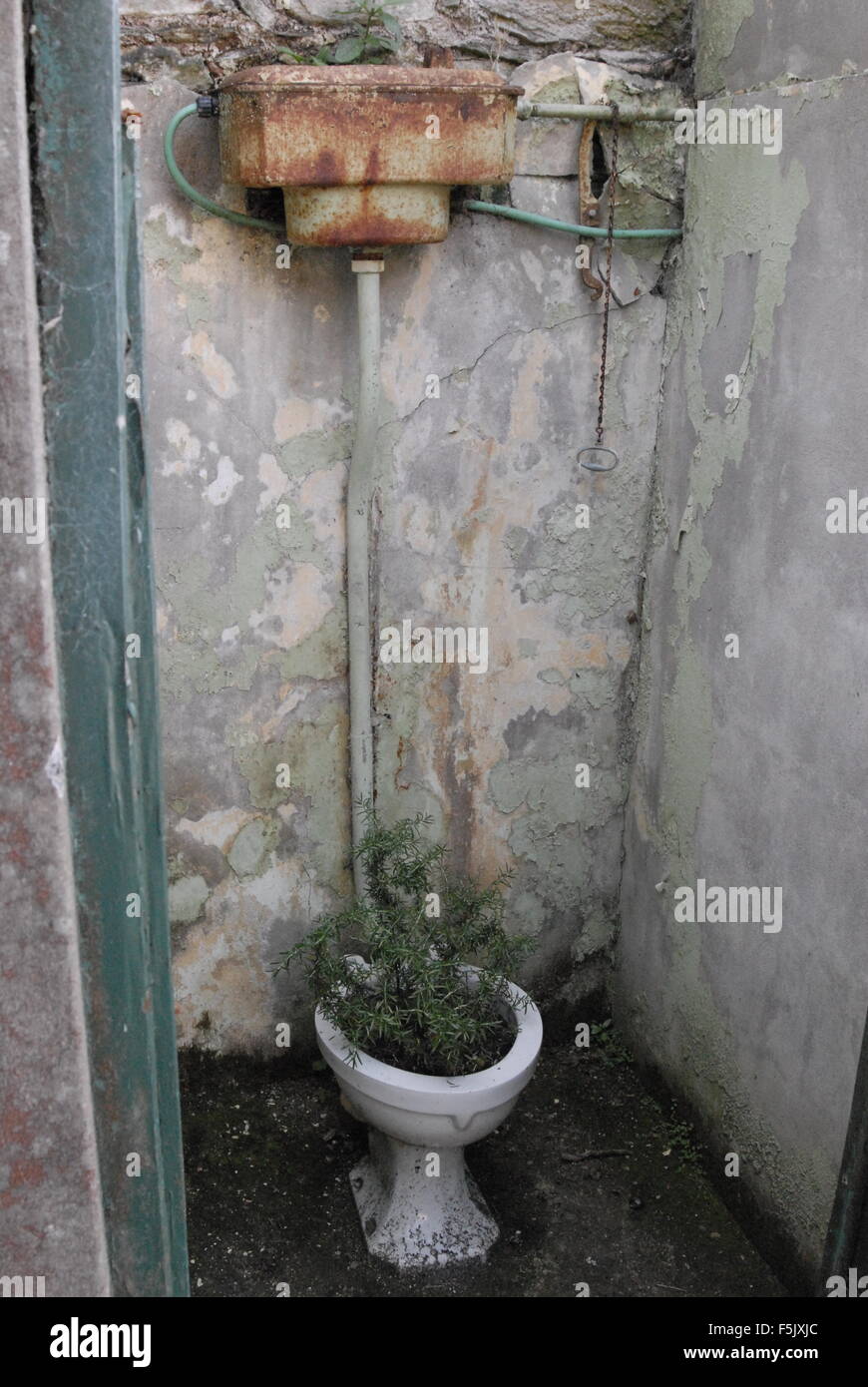 Ancient toilet in building beside the coast path near Helford, Cornwall