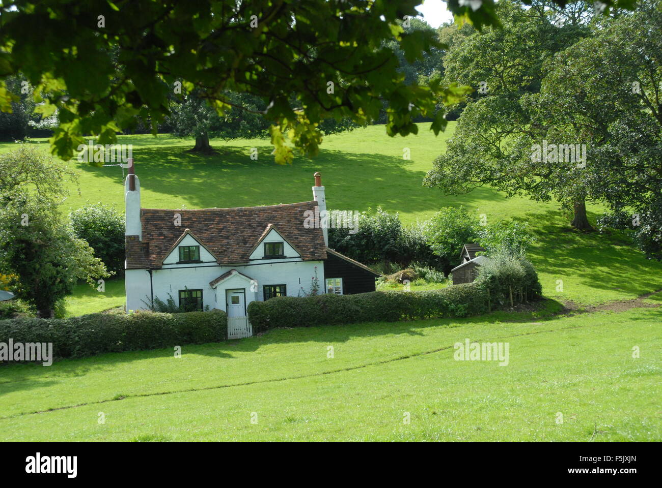 An isolated Cottage at Lee Common Buckinghamshire Stock Photo