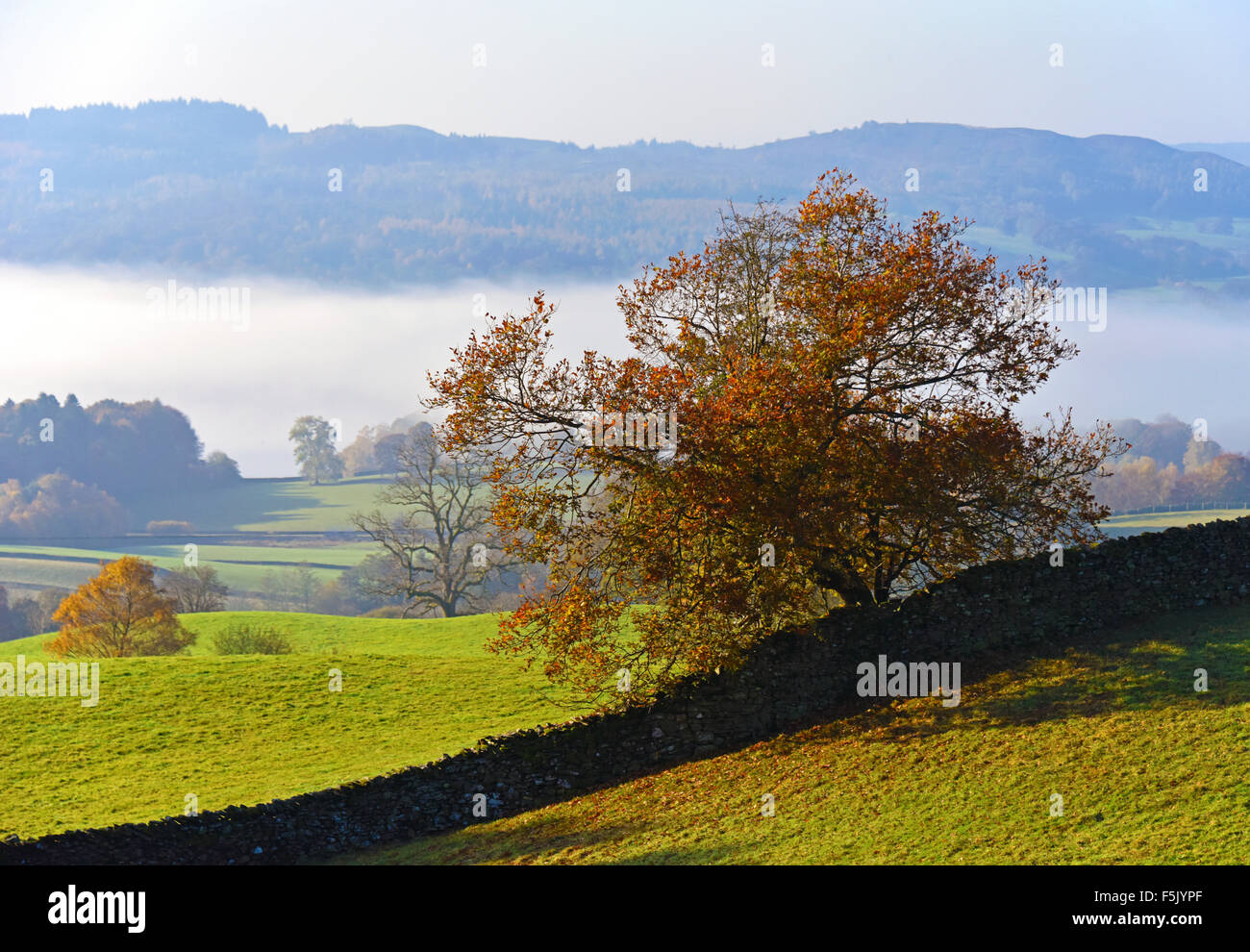 Troutbeck Valley in Autumn. Lake District National Park, Cumbria, England, United Kingdom, Europe. Stock Photo