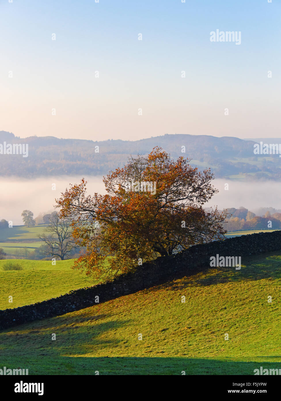Troutbeck Valley in Autumn. Lake District National Park, Cumbria, England, United Kingdom, Europe. Stock Photo
