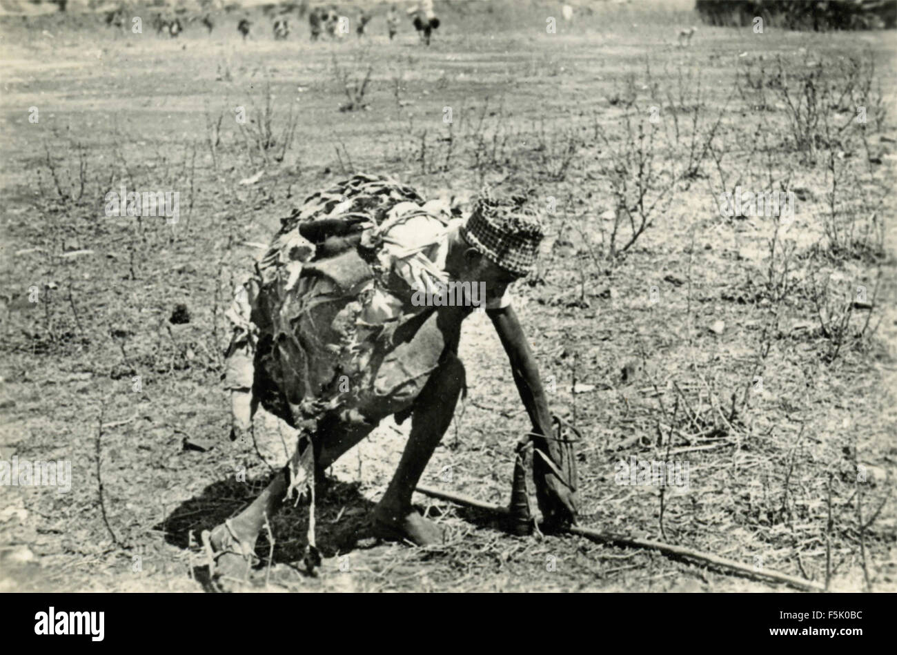 An old African collects branches , East Africa Stock Photo