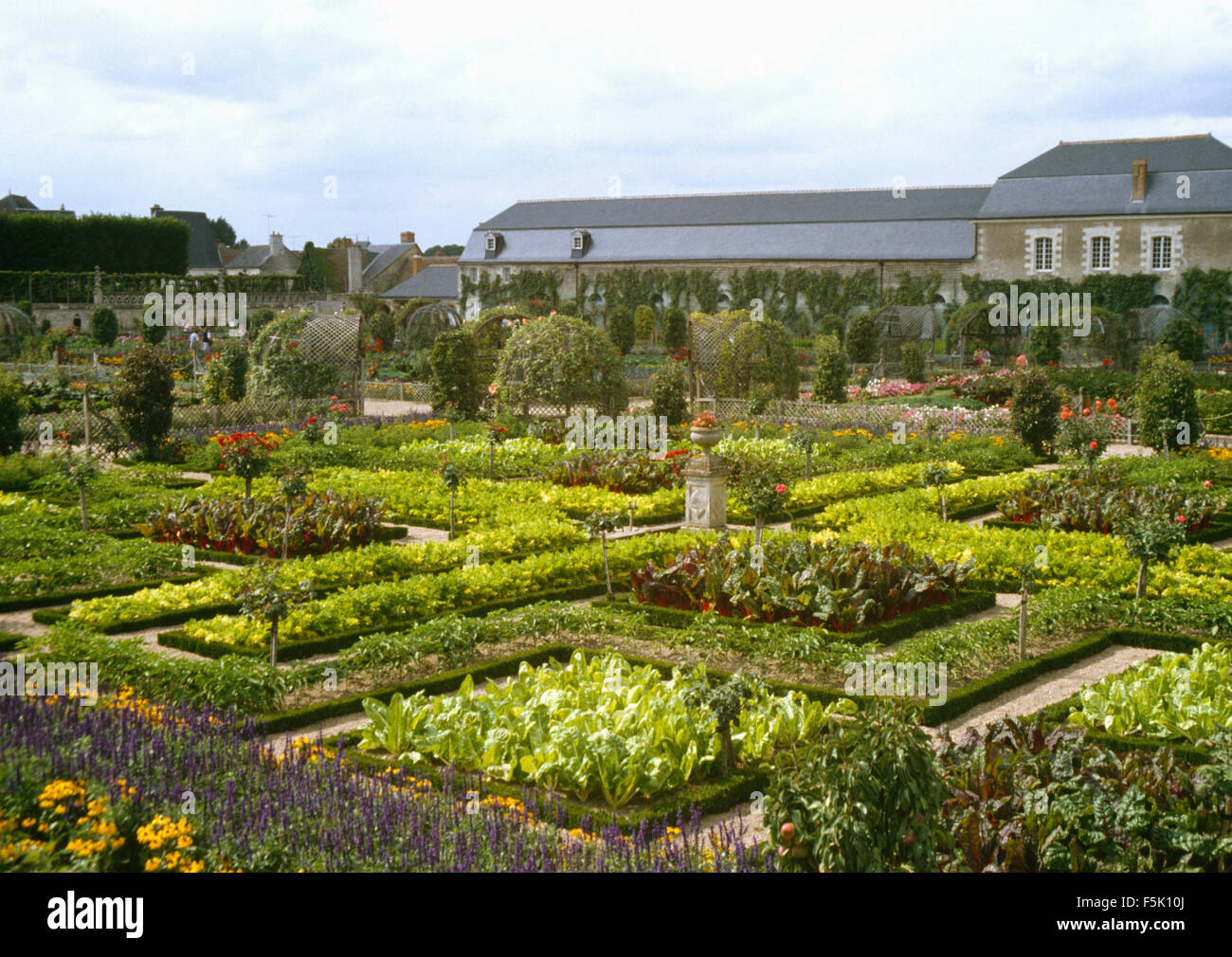 Lettuce and chard planted in beds edged with box in large potager garden in France Stock Photo