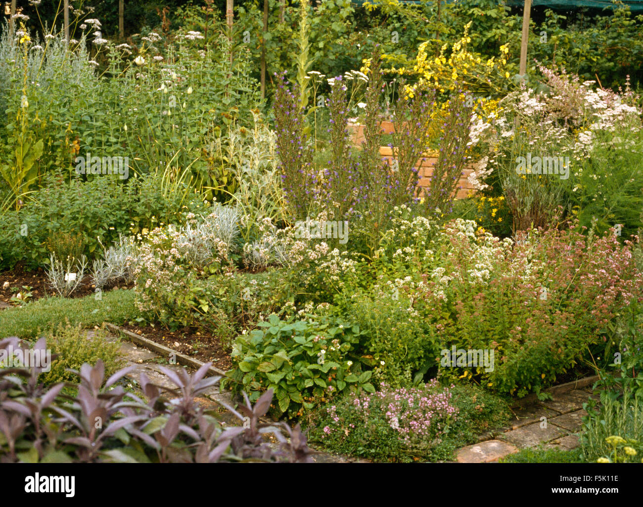 Perennials bed summer hi-res stock photography and images - Alamy