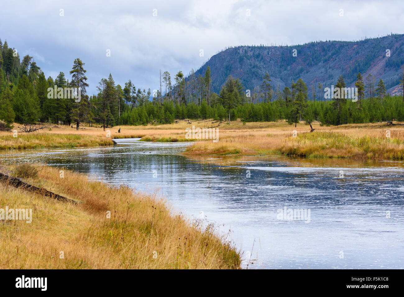 Madison River, Yellowstone National Park, Wyoming, USA Stock Photo