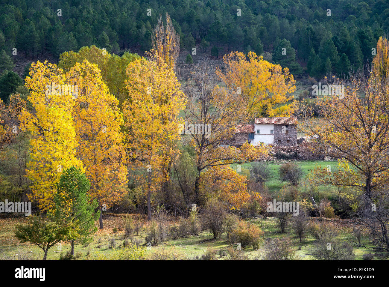 A farm house by the Rio Jucar on the road from Una to Huelamo in the Serrania de Cuenca, Castilla-la mancha, Central Spain Stock Photo