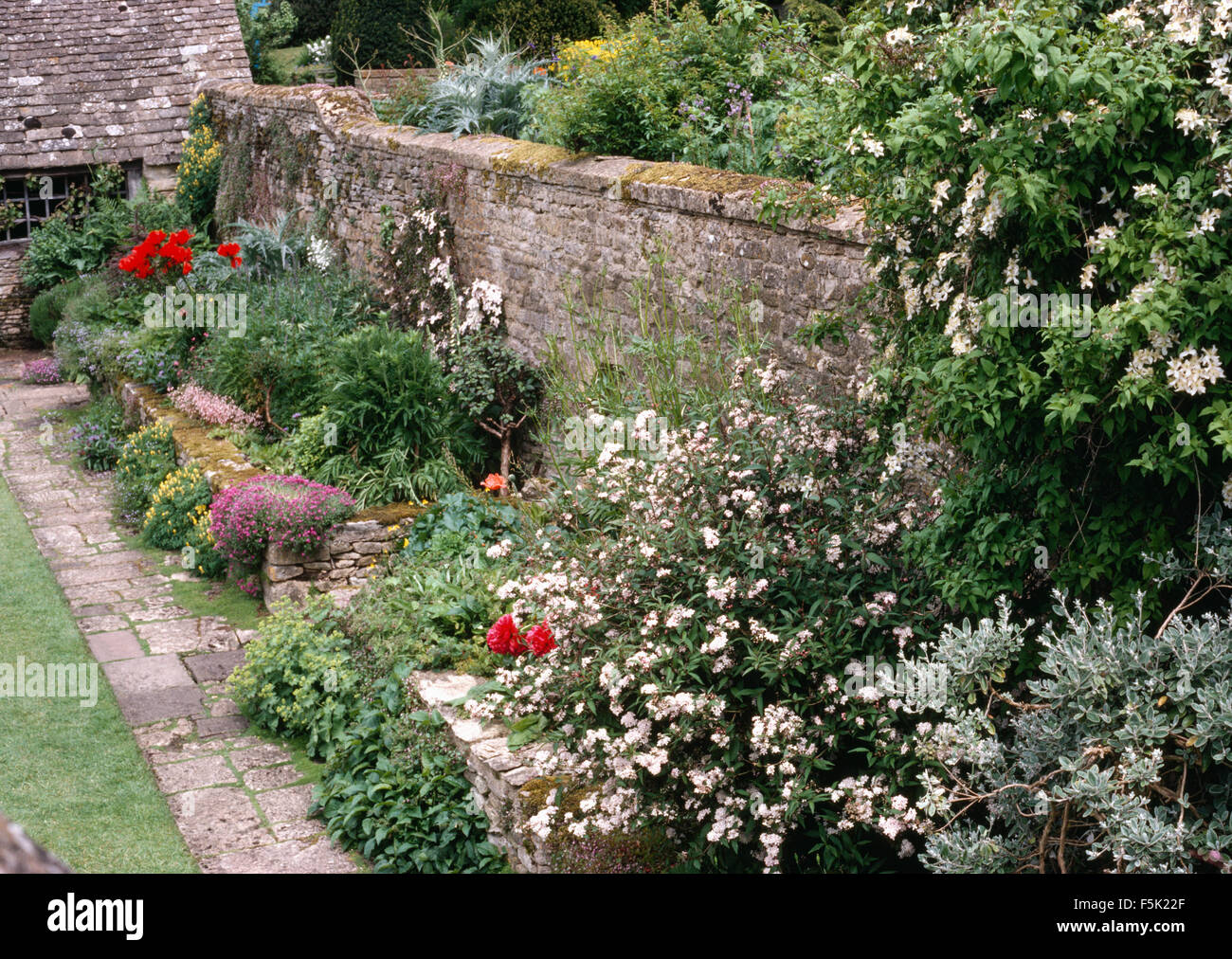 Border planted with perennials and flowering shrubs in walled garden with a narrow paved path Stock Photo