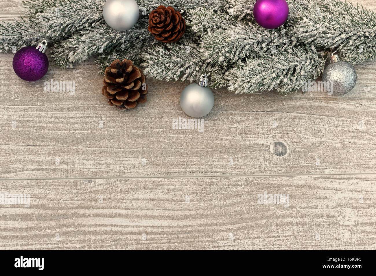 Snow covered fir branches with purple and silver ornaments and cones on ...
