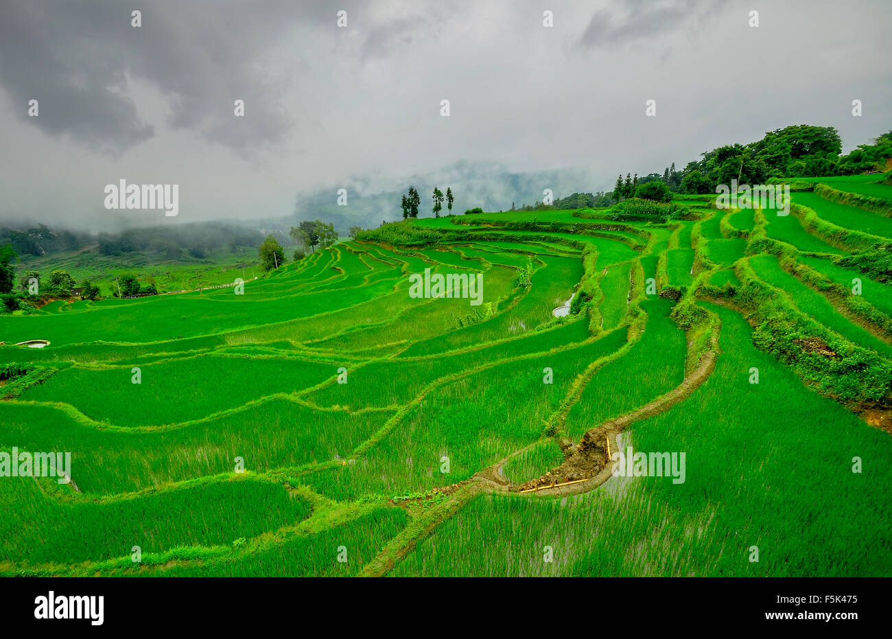 South China, Yunnan - 2011: Rice terraces in highlands of southe Stock Photo