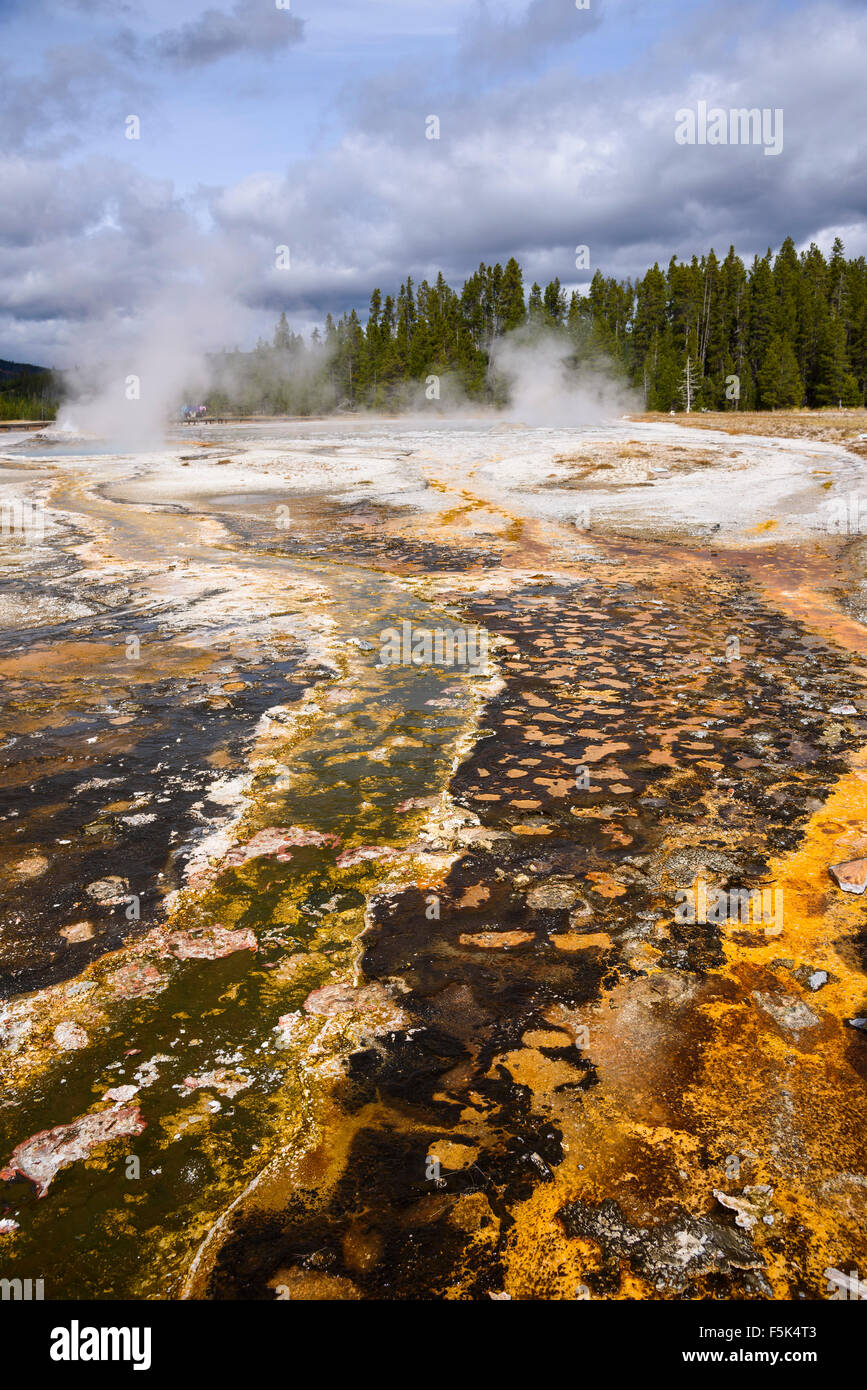 Colourful runoff from Splendid, Comet and Daisy Geysers, Upper Geyser Basin, Yellowstone National Park, Wyoming, USA Stock Photo