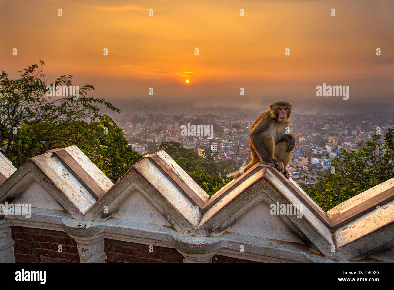 Sunrise above Kathmandu, Nepal, viewed from the Swayambhunath temple. Swayambhunath is also known as the Monkey Temple as there Stock Photo