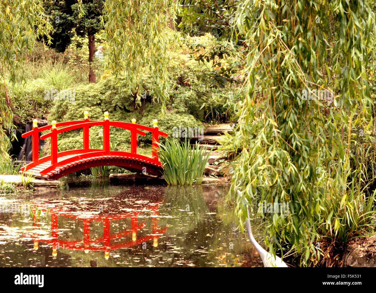 Red Chinese style bridge over a stream with willow trees on the bank in a large country garden Stock Photo