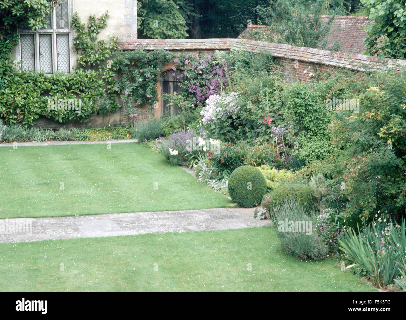 Neat lawns either side of paved path in a walled country garden with clipped box balls and purple clematis Stock Photo