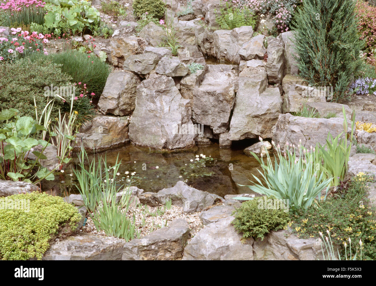 Small pool in a rockery garden Stock Photo - Alamy