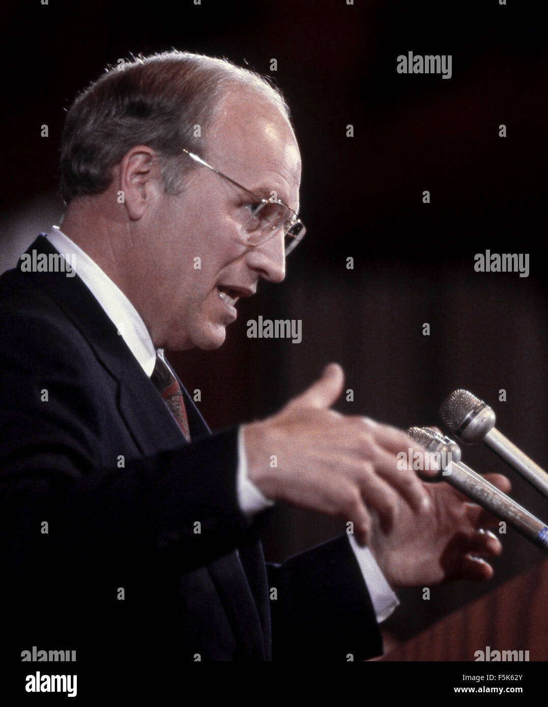 You tell, cheney dick national washington really Sorry, that cheney dick national washington the