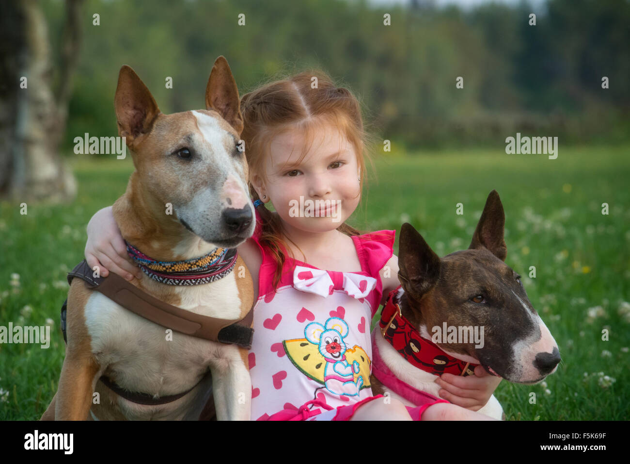 bull terrier and children