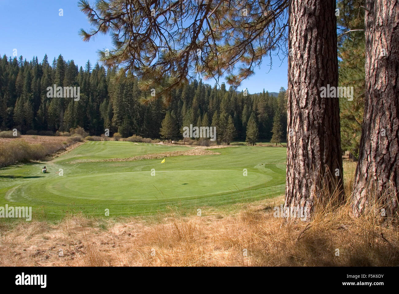 Dec 01, 2005; Wawona, CA, USA; Yosemite's Wawona Golf Course was the first regulation course in the Sierra Nevada when it opened in 1918 -- and has provided golfers challenging but rewarding rounds ever since. It was designed by Walter Fovargue to blend seamlessly into its spectacular surroundings. The nine-hole, par-35 course measures 3,050 yards and includes two par five holes and three par three holes. Different tee positions per side provide a par 70, 18-hole format. Golfers of every level enjoy the rolling terrain, variety of challenging holes and tranquil setting of this historic course. Stock Photo