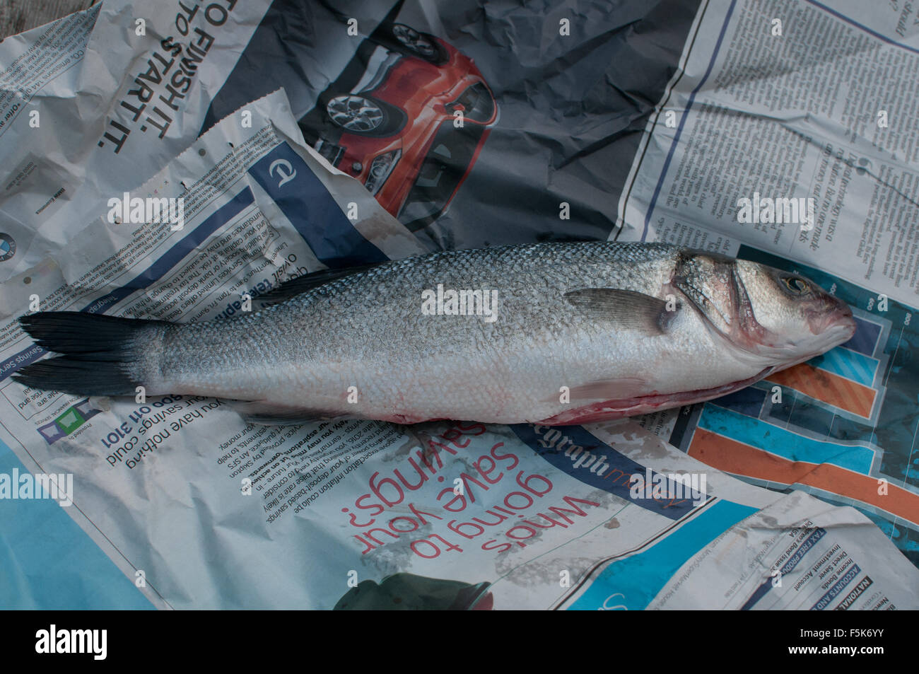 farmed salmon on newspaper Stock Photo