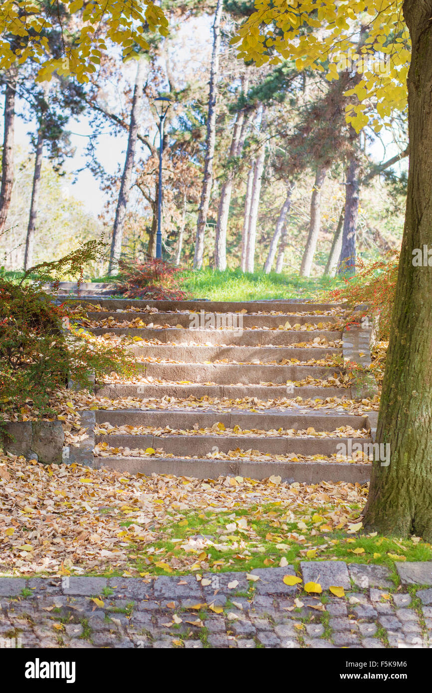Autumn colors and fallen leaves on staircase in the park Stock Photo