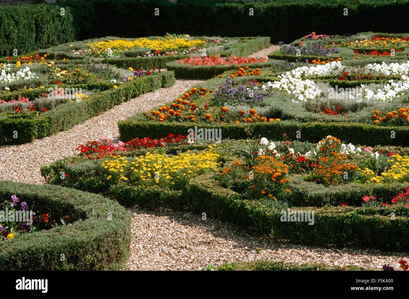 Brightly colored annuals box edged beds in a large formal parterre garden Stock Photo