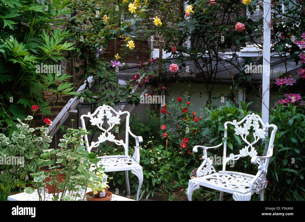 White wrought iron chairs on patio with pink and yellow roses in a in