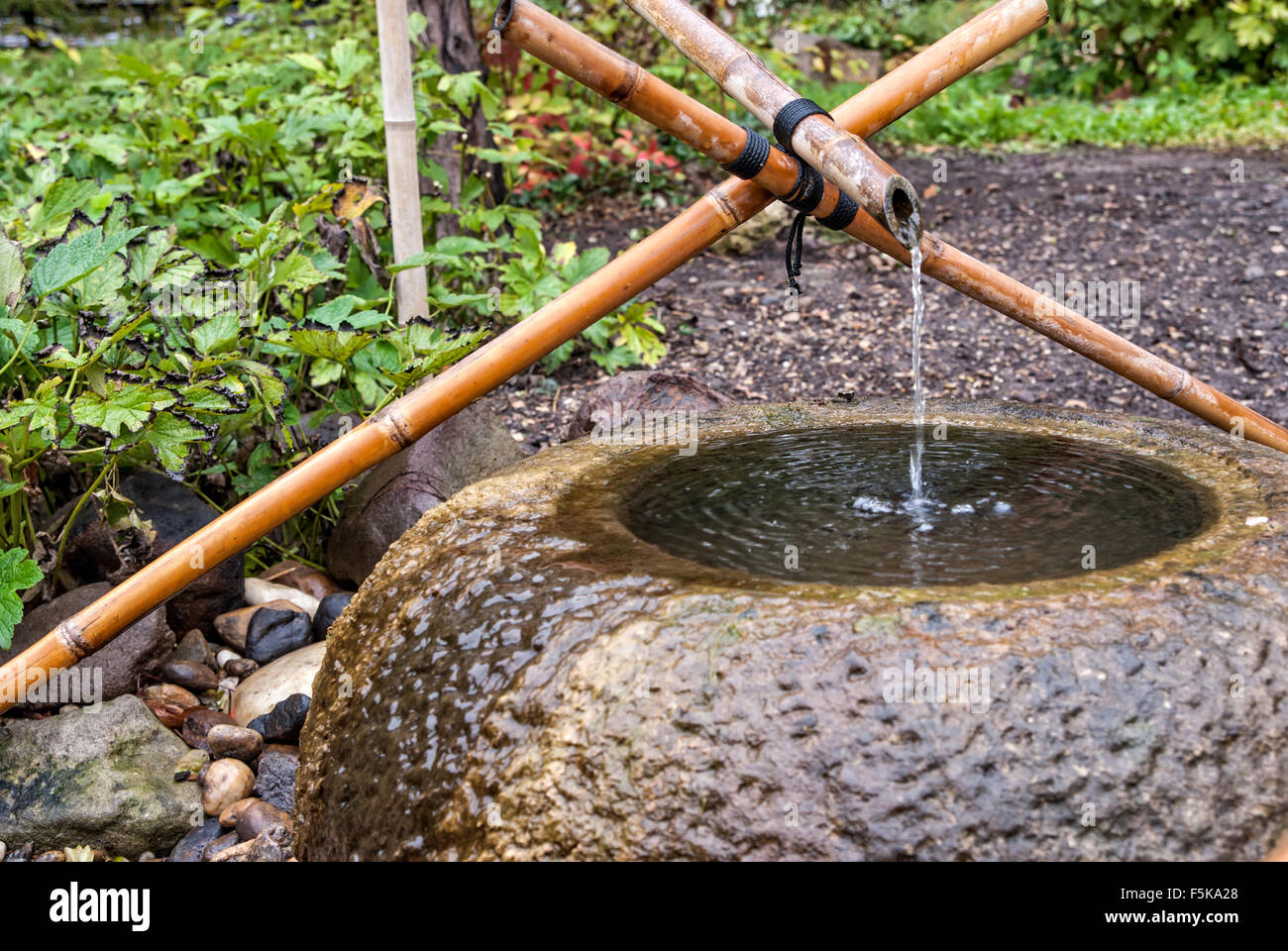 Tsukubai water fountain of bamboo stalks in Japanese garden Stock Photo