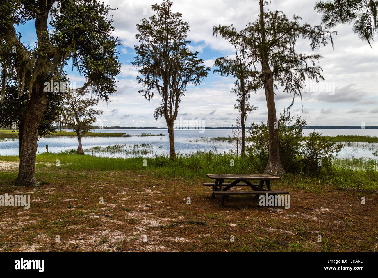 Lake Louisa State Parke, Clermont, Florida Stock Photo Alamy