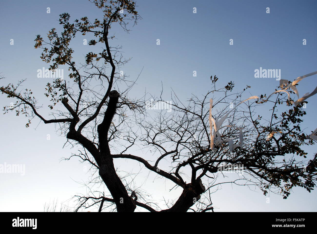 Toomers corner hi-res stock photography and images - Alamy