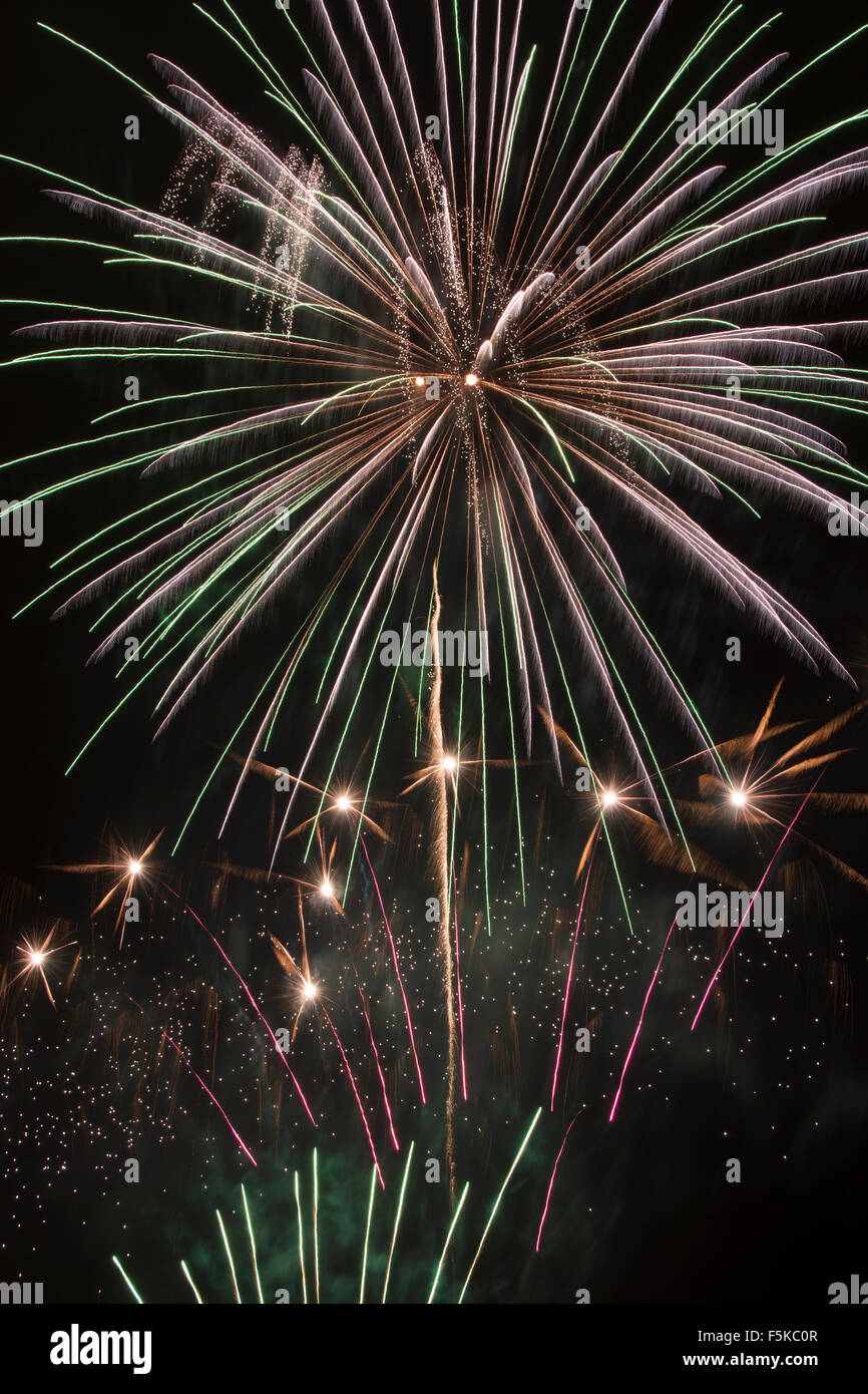 Large Fireworks - White, Gold, Red, Purple, Green Stock Photo