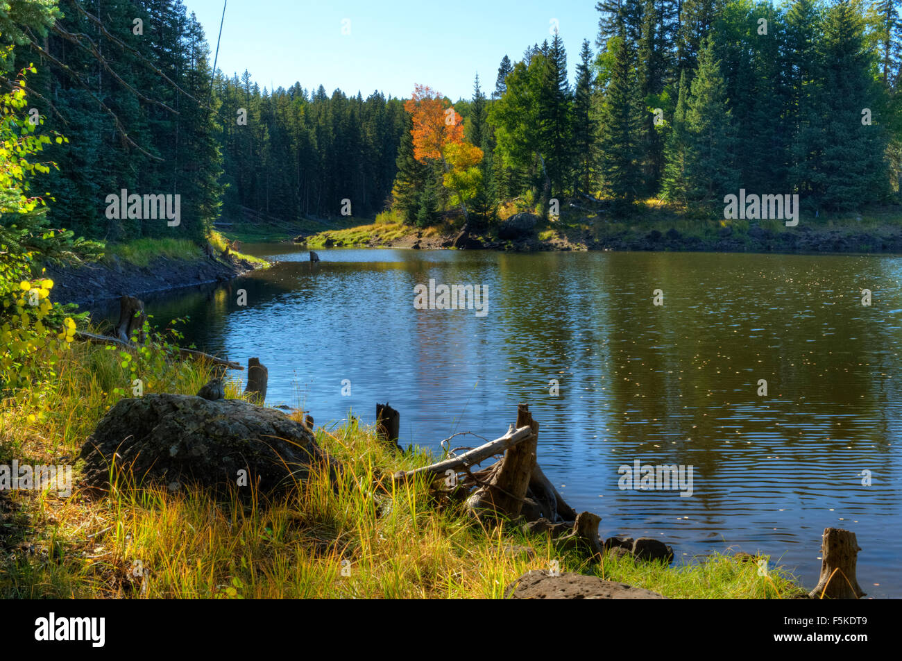 Big Beaver Reservoir on Colorado's Grand Mesa.  4WD is required to get here. Stock Photo