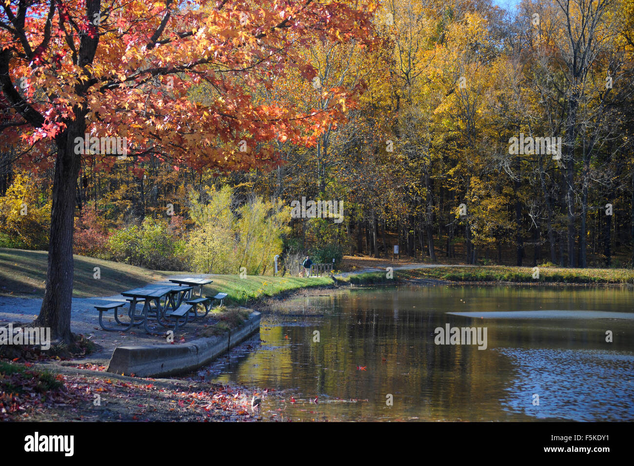 Eagle Creek Park Pictures: View Photos & Images of Eagle Creek Park