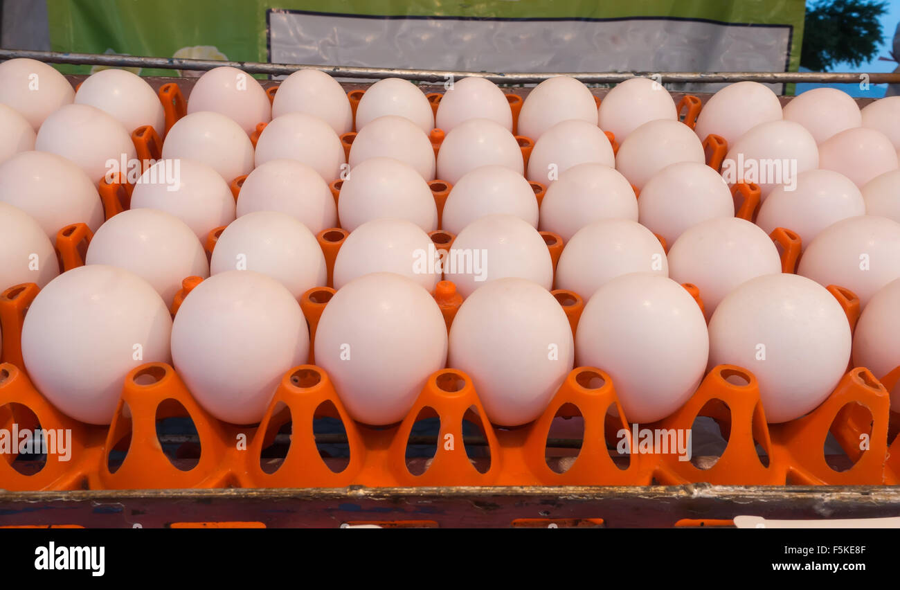 Duck eggs on the shelves in stores Stock Photo Alamy