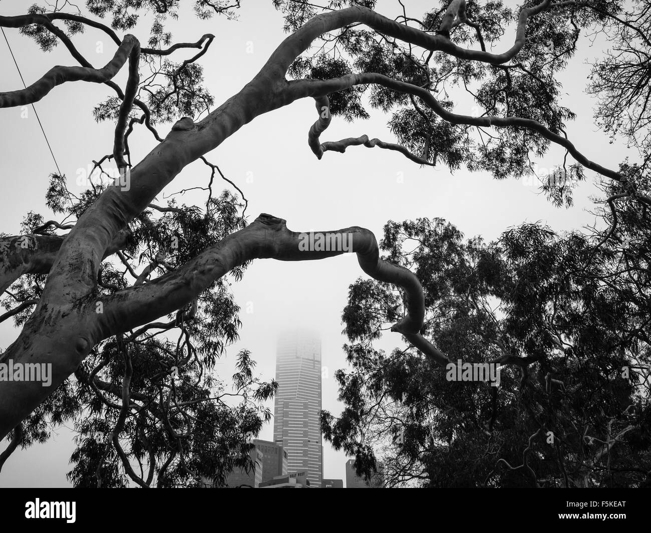 Afforestation Black and White Stock Photos & Images - Alamy